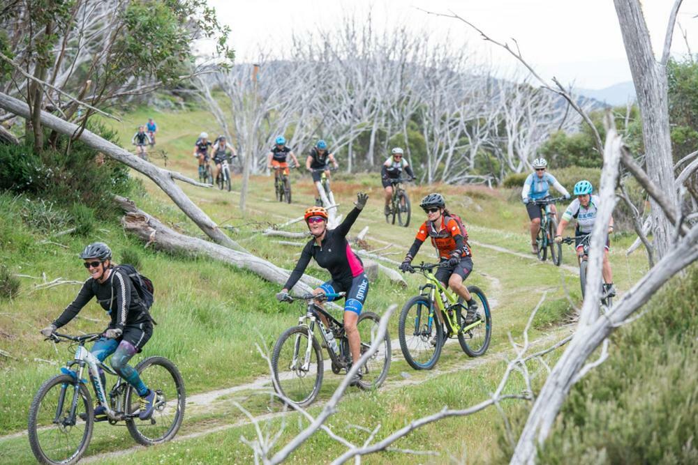 Elk At Falls Falls Creek Exterior foto